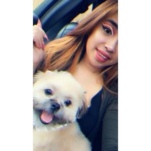 Meet your Posher, Thalia lilivet